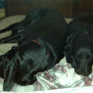 Meet your Posher, Janice